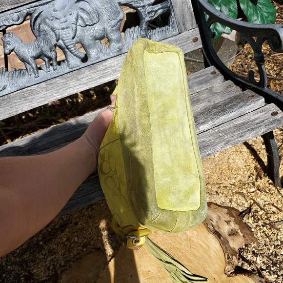 Coach - Picture 5 of 6